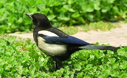 ���xϲ�o����300��24ƪ