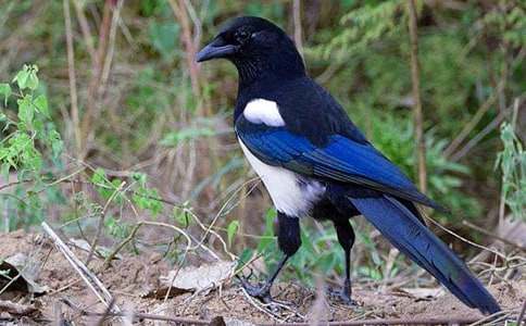 ϲ�oͯԒ����400����ƪ