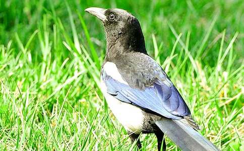 ϲ�oͯԒ���ĺϼ�6ƪ