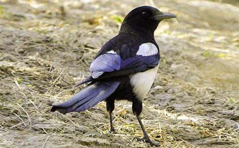 ���꼉ͯԒ���Ļ�ϲ�o