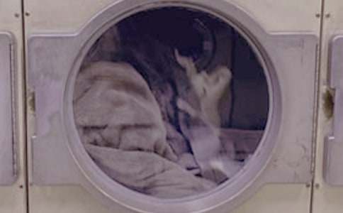 �����͡����ơ�ϴ�C_����