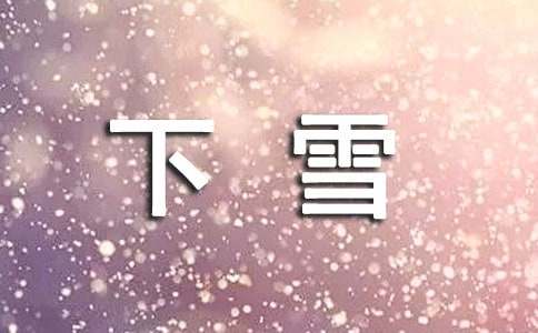 描寫下雪了的記敘文作文(通用25篇)