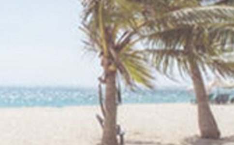 �ļ������С�W����