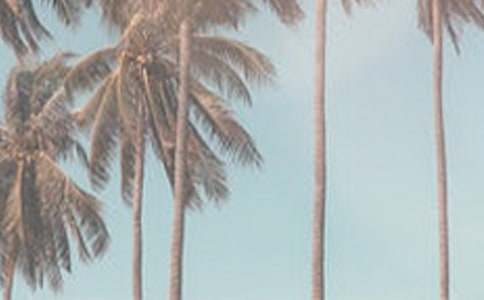 ��һ���������ļ���