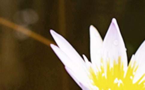 夏至節氣諺語大盤點