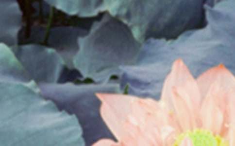 ����δ�����׸������~