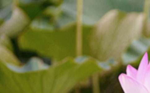 �P���������V�Z���\