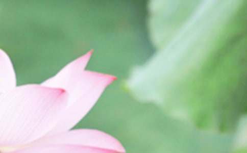 �P���������V�Z110��