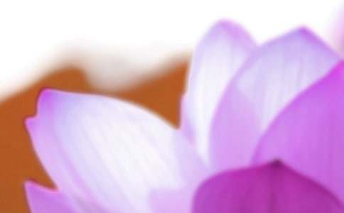 24����֮����������V�Z60��