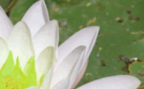 �P���������V�Z