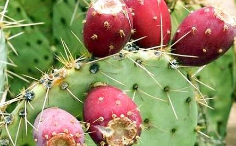 ��������������������