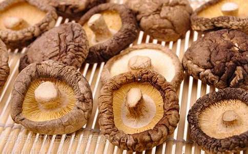 �{���㹽��ʲô��˼