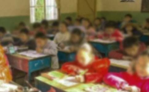 夏天的鄉村小學作文