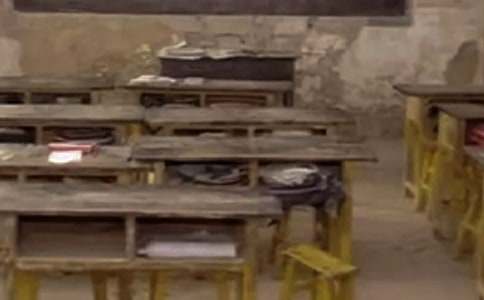 美麗的鄉村小學生作文600字