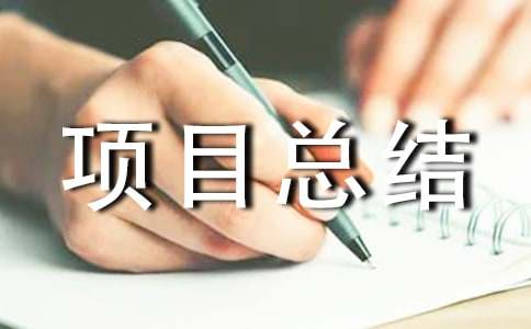 it項目總結報告