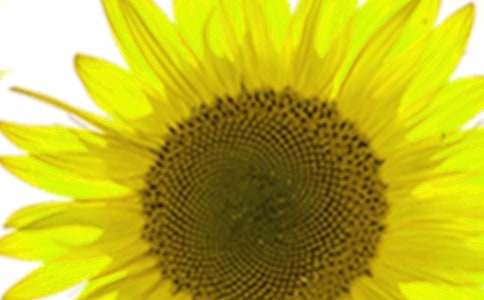 С�W�����ģ����տ����＾ꖹ�