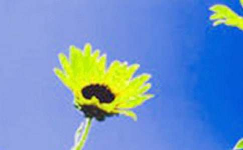 ���տ��µ��游����