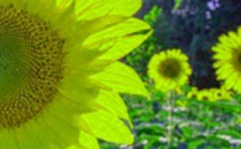 ���տ��cõ������2ƪ