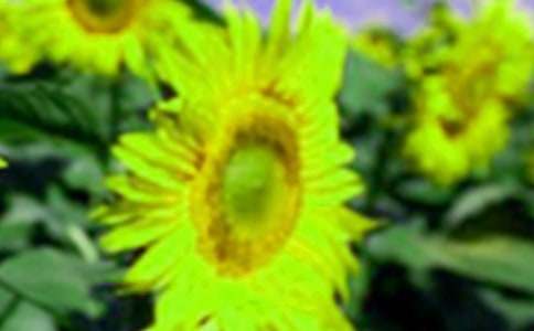 �����е����տ����ģ����x29ƪ��