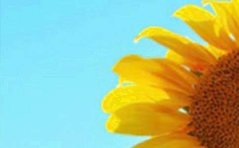 ���տ����̰�