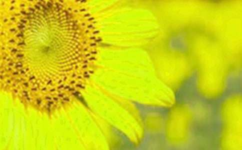 ���տ���΢Ц����13ƪ