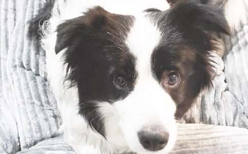 С��ͯԒ����400�ֺϼ�8ƪ