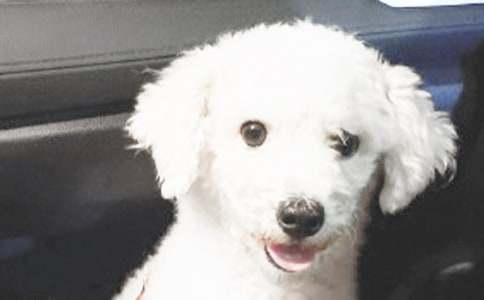 С������Ƥ��-���꼉-ӛ����