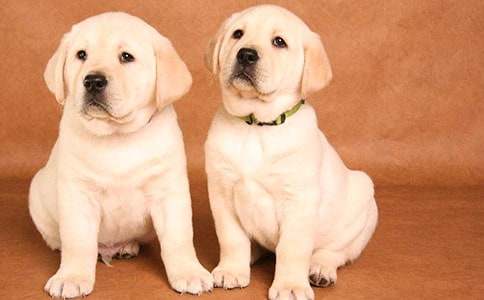 С��ͯԒ����600����ƪ