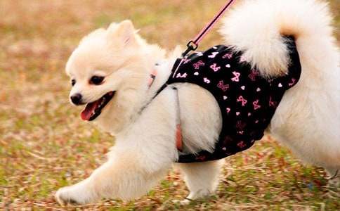 �Ҽҵ�С��С�W���ķ���400�֣����x75ƪ��