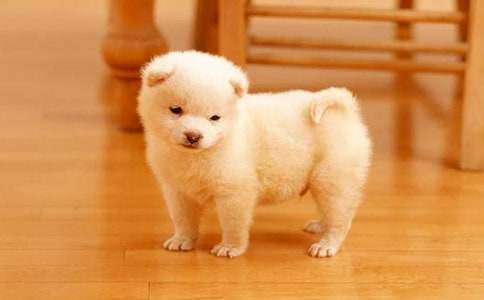 �^��С��������