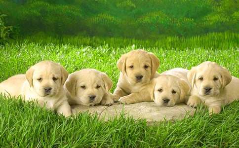 С������400��-�ҵ�С������400��