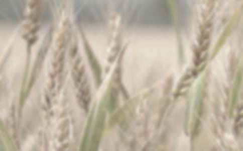 С����ӛ���ЌW���ķ���