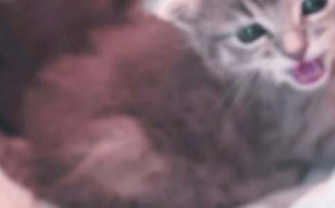 �Ґ�С؈����200��