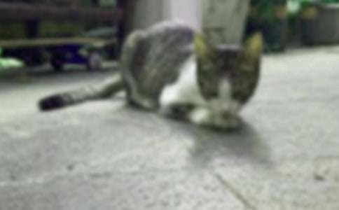 �ɐ۵�С؈�������ģ����x48ƪ��