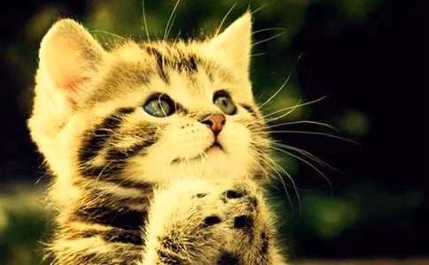 ��С؈�����}����