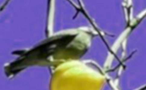 �Һ�С�B��Ԓ�����ģ�ͨ��47ƪ��