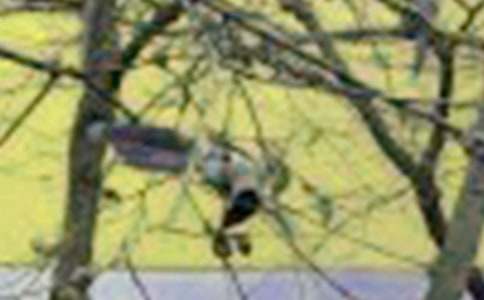 �ɑz��С�B���ļ��\15ƪ