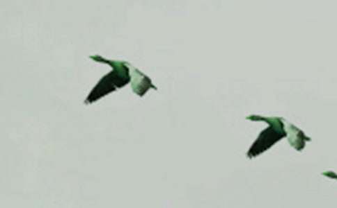 С�B��`ͯԒ���ąR��7ƪ