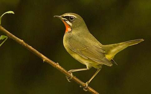 С�B��������15ƪ