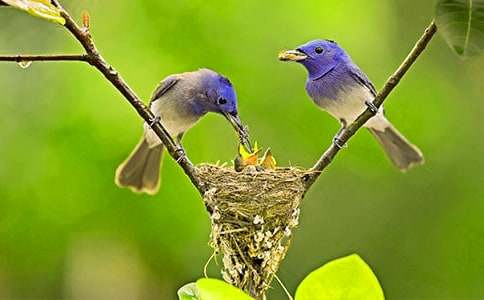 ���؂䡿С�B��������18ƪ