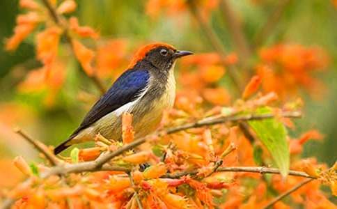 С�B����ԸС�W������