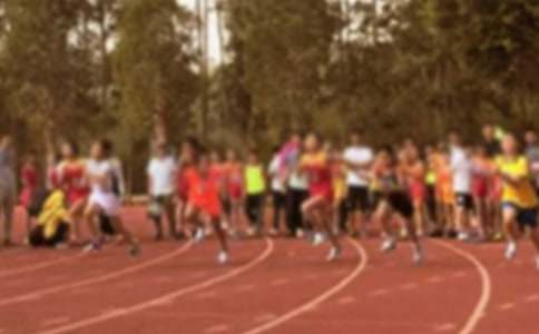 【精選】小學運動會作文9篇