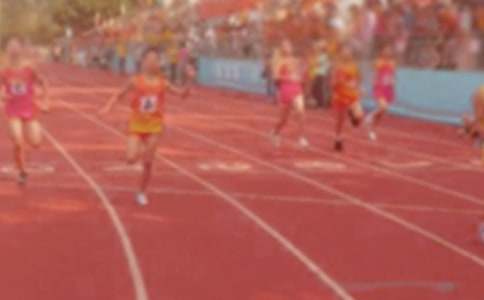 С�W�\�ӕ�������ƪ