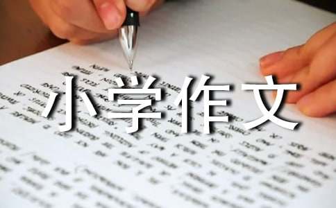 ���o���һ����С�W����