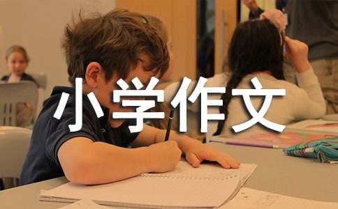 ϴ���ε�С�W���ģ����x12ƪ��