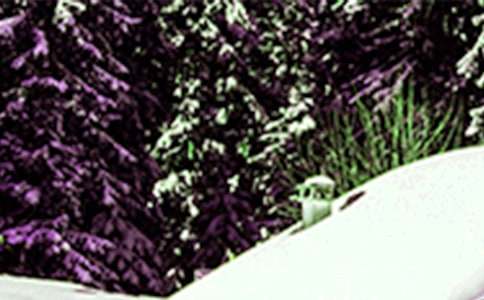 Сѩ�h�w����