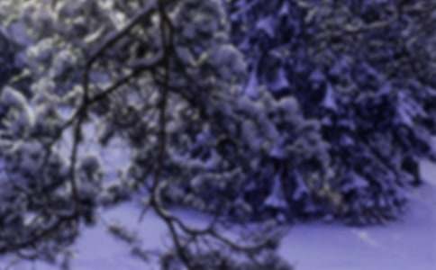 Сѩ�����ġ����T��