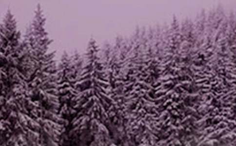 ���ݶ���Сѩ�ľ��ӣ�220�䣩