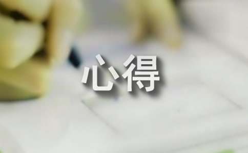 社會實踐心得500字(精選8篇)