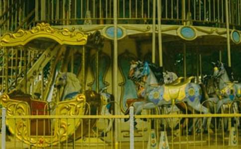 玩旋轉木馬的作文300字(精選33篇)